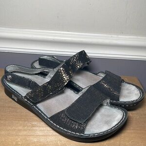 Alegria Black and Silver Sandal Ver-780